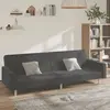 vidaXL Canapé-lit à 2 places gris foncé tissu