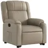 Fauteuil inclinable Cappuccino Similicuir vidaXL