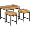 vidaXL Tables basses gigognes 3pcs bois de manguier massif brut et fer