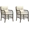 vidaXL Chaises de jardin avec coussins lot de 2 marron résine tressée