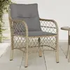 vidaXL Chaises de jardin avec coussins lot de 2 mélange beige rotin