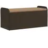 vidaXL Banc de rangement et coussin marron 115x51x52 cm résine tressée