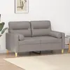 vidaXL Canapé 2 places avec oreillers décoratifs taupe 120 cm tissu