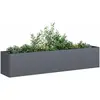 Jardinière anthracite 200x40x40 cm acier laminé à froid Vidaxl