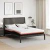 vidaXL Matelas Blanc, Gris 140 x 200 cm