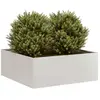 vidaXL Jardinière 80x80x30 cm acier inoxydable