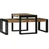 vidaXL Ensemble de 2 Tables Basses en Bois Massif Récupéré