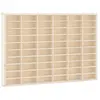vidaXL Vitrine murale avec 60 compartiments 60x4,5x40,5 cm