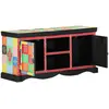 vidaXL Meuble TV Multicolore 100 x 35 x 50 cm Bois de mangue massif
