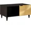vidaXL Table basse Noir et or 80 x 50 x 40 cm
