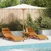 vidaXL Chaise longue 3 pcs Marron 40 x 40 x 40cm Bois d'acacia massif