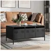 vidaXL Table basse noir 101,5x50x43,5 cm acier laminé à froid