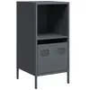 vidaXL Buffet anthracite 35x39x73,5 cm acier laminé à froid
