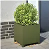 vidaXL Vidaxl Jardinières 2 Pcs Vert Olive 40x40x40 Cm Acier