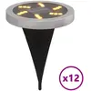 vidaXL Lampes solaires de sol et piquets de sol extérieur 12 pcs