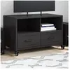 vidaXL Meuble TV noir 68x39x43,5 cm acier laminé à froid