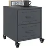 vidaXL Vidaxl Tables De Chevet 2 Pcs Anthracite 36x39x43,5 Cm Acier