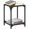vidaXL Tables basses avec dessus en verre noir 2 pcs 30x30x40 cm acier