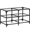 vidaXL Table basse avec dessus en verre transparent 78,5x40x45cm acier