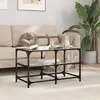 vidaXL Table basse avec dessus en verre noir 78,5x40x45 cm acier