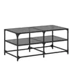 vidaXL Table basse avec dessus en verre noir 98,5x50x45 cm acier