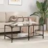 vidaXL Table basse avec dessus en verre noir 98,5x50x40 cm acier