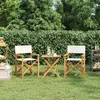 Vidaxl chaises de metteur en scène pliantes lot de 2 bois teck massif
