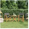 Vidaxl chaises de metteur en scène pliantes lot de 2 bois teck massif