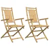 vidaXL Chaises pliables de jardin lot de 2 53x66x99 cm bambou