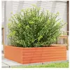 vidaXL Jardinière cire marron 80x80x23 cm bois de pin massif