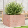vidaXL Jardinière 70x70x45,5 cm bois massif de douglas