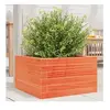 vidaXL Jardinière cire marron 40x40x23 cm bois de pin massif