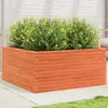 vidaXL Jardinière cire marron 100x100x46 cm bois de pin massif