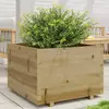 vidaXL Jardinière 70x70x49,5 cm bois de pin imprégné