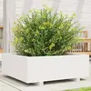 vidaXL Jardinière blanc 70x70x26,5 cm bois de pin massif