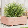 vidaXL Jardinière 70x70x26,5 cm bois massif douglas