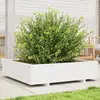 vidaXL Jardinière blanc 100x100x26,5 cm bois de pin massif