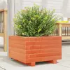 vidaXL Jardinière cire marron 40x40x26,5 cm bois de pin massif