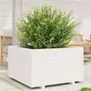 vidaXL Jardinière blanc 80x80x49,5 cm bois de pin massif