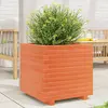 vidaXL Jardinière cire marron 50x50x49,5 cm bois de pin massif