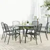 vidaXL Ensemble de chaises de jardin empilables 7 pcs anthracite