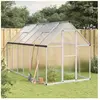 vidaXL Serre avec cadre de base argenté 334x169x195 cm aluminium