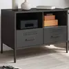 vidaXL Vidaxl Meuble Tv Noir 68x39x50,5 Cm Acier