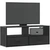 vidaXL Meuble TV noir 100x31x39,5 cm bois d'ingénierie et métal