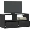 vidaXL Meuble TV noir 80x31x39,5 cm bois d'ingénierie et métal