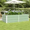 vidaXL Jardinière Vert 160 x 80 x 45 cm Acier