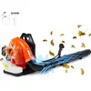 SucceBuy 79CC Souffleur de feuilles à essence 2 temps en sac à dos, vo...
