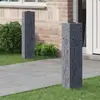 vidaXL vidaXL Lumière de chemin LED solaire 2 pcs Anthracite