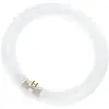 Philips Tube fluo rond G10q 22W 865 Master Circular TL-E