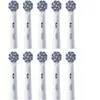 Oral-B, Tête de brosse à dents, 8700216987516 (10x)